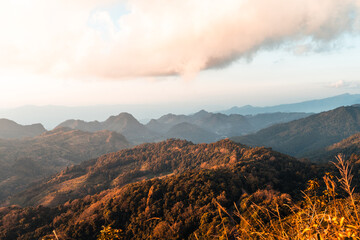 陈冲在美国